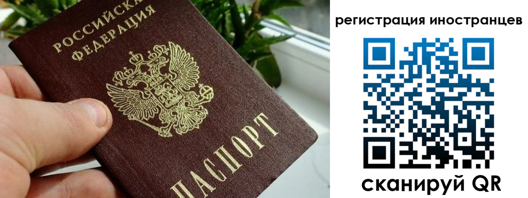 регистрация в Лангепасе